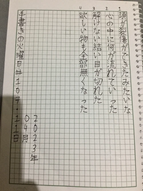 kaaku_shiotodoro's submission