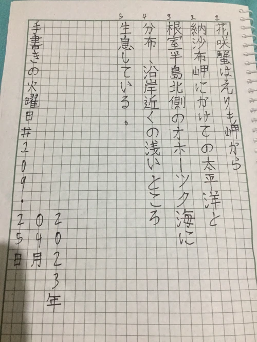 kaaku_shiotodoro's submission