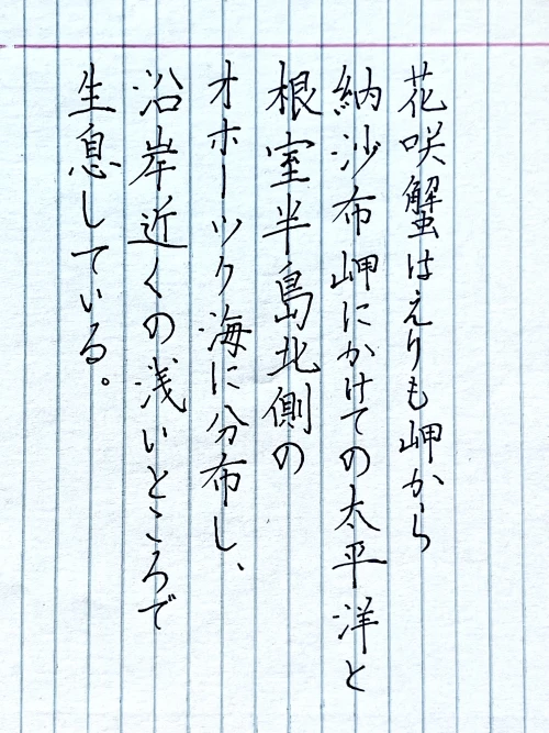 n1passer's submission