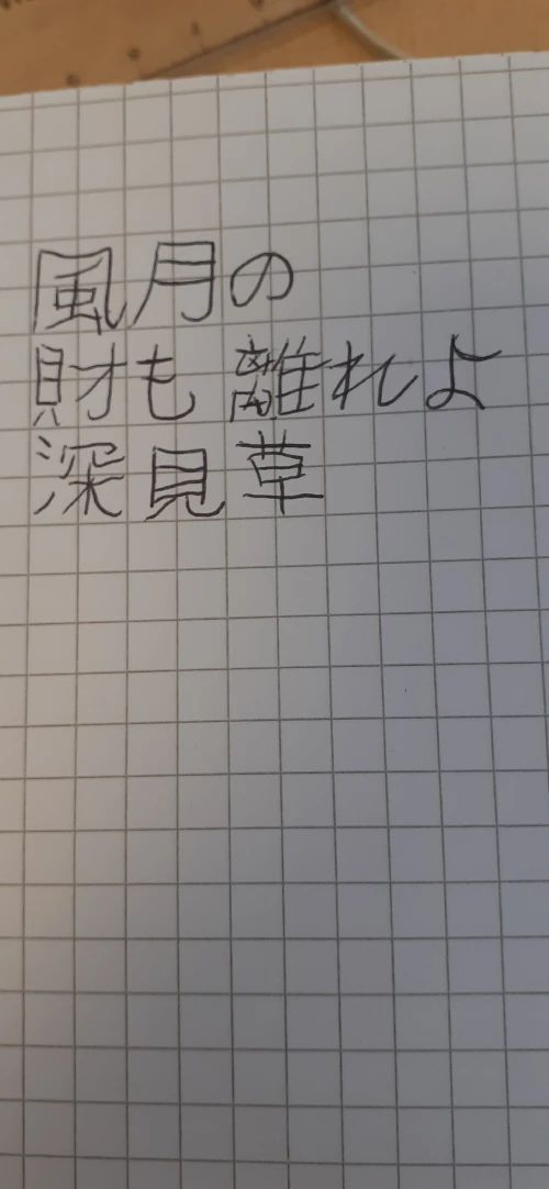 kangaruu__'s submission