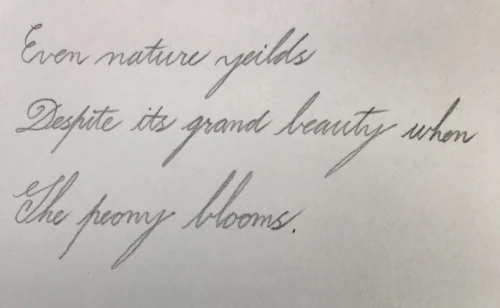 drago33's submission