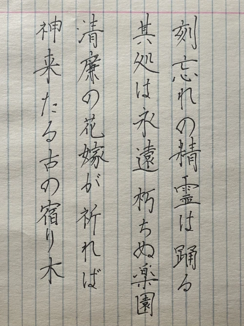 n1passer's submission