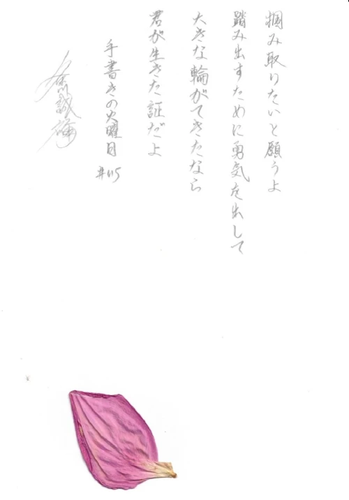 thekume's submission