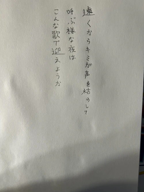 anonomy's submission