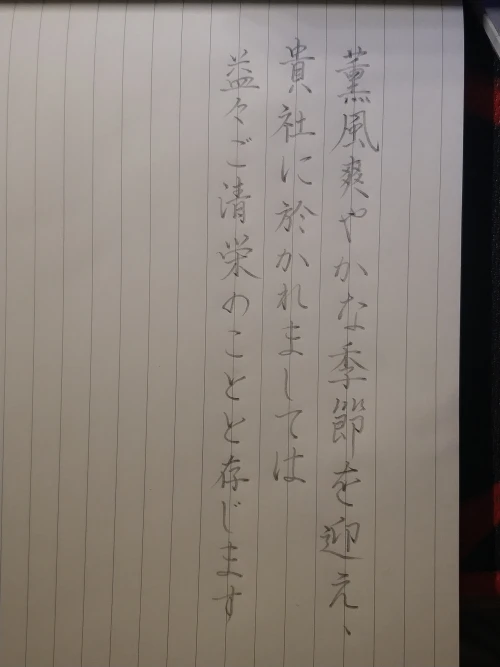 momo.moe's submission