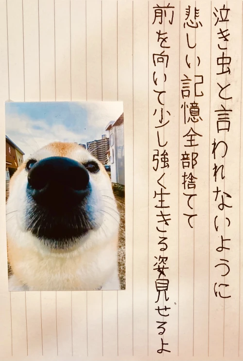 anko_dtm's submission