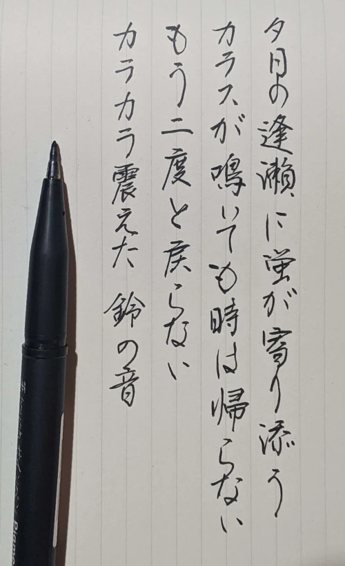 wrongwong's submission