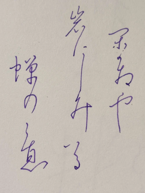 2haikus's submission