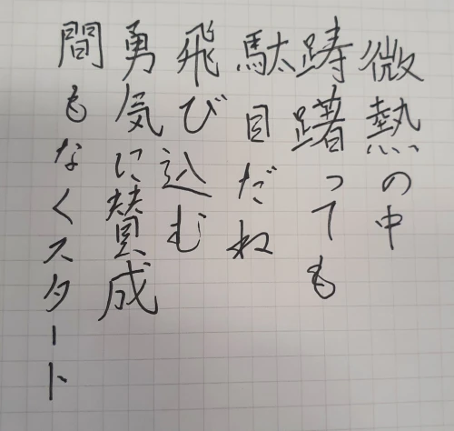 naginoko4's submission