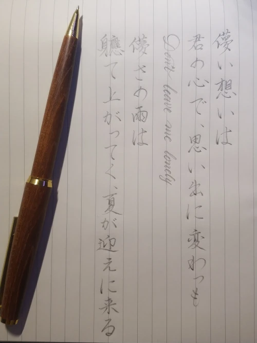 momo.moe's submission