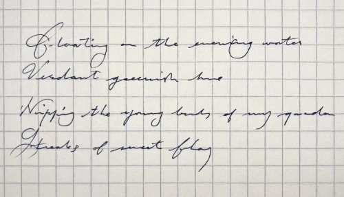 Professional Typeface Designer#4496's submission