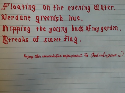.rekel's submission