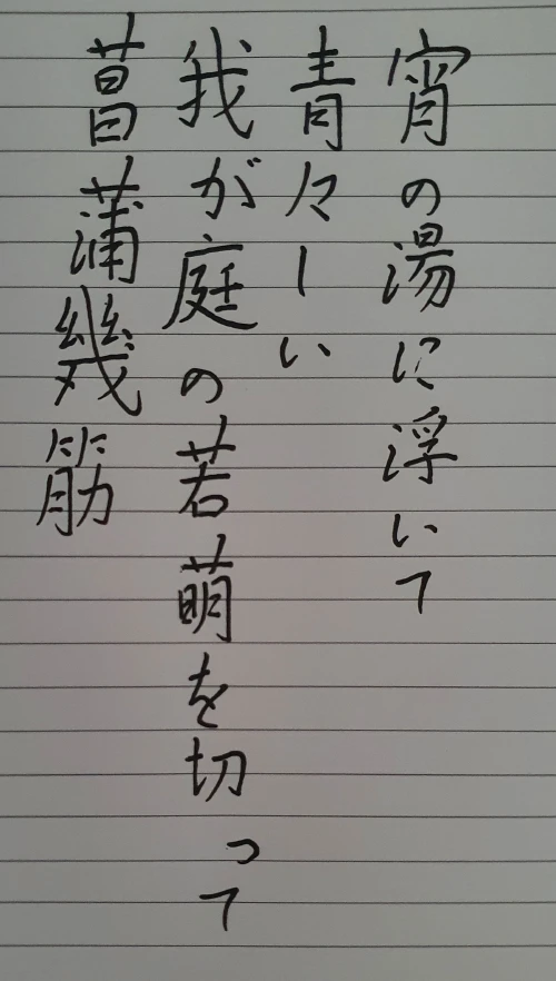 naginoko4's submission