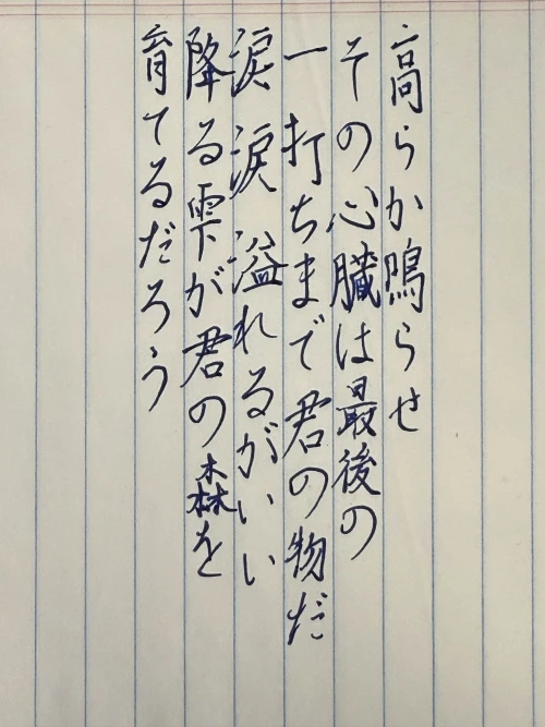 n1passer's submission