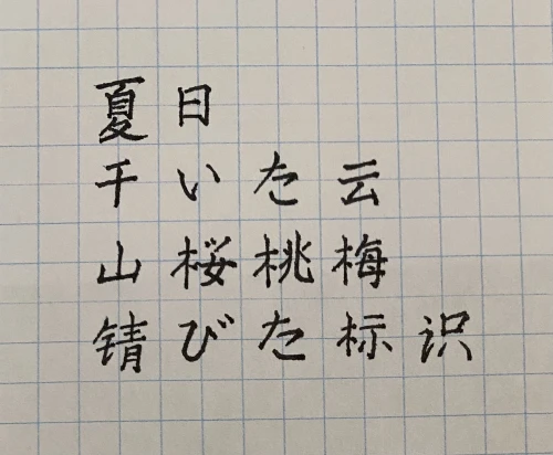deniseinyourarea's submission