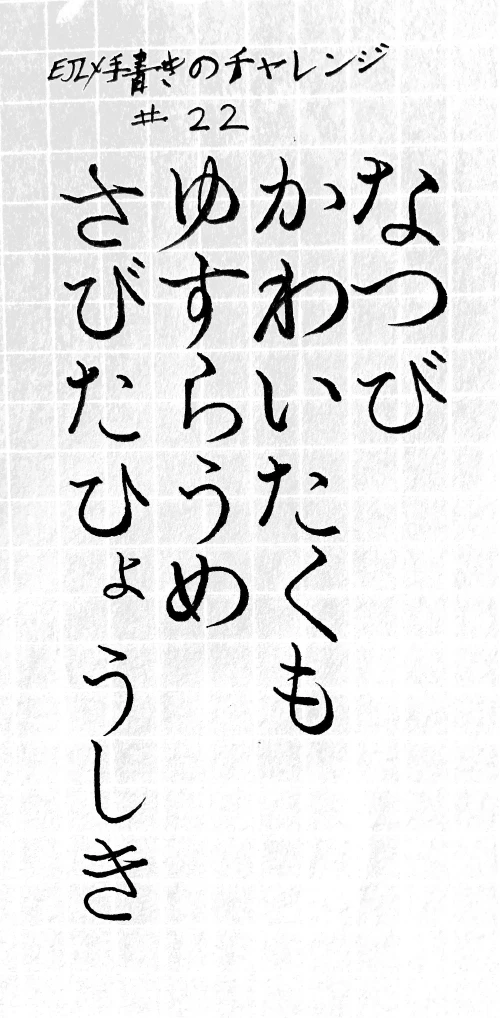 Professional Typeface Designer#4496's submission