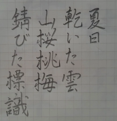 naginoko4's submission