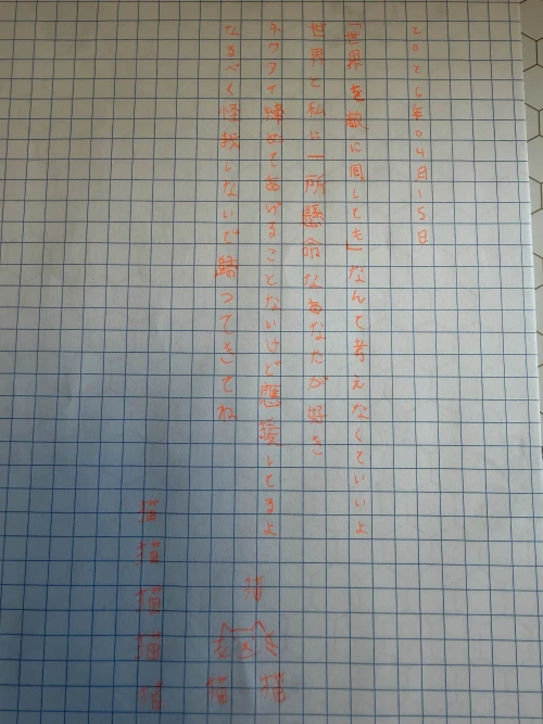llovizn4's submission