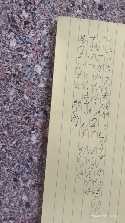 spice0435's submission