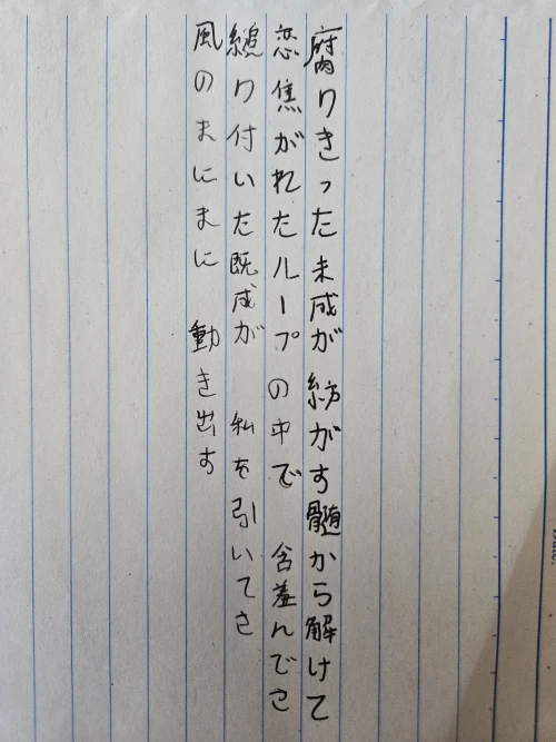 immafattycat's submission