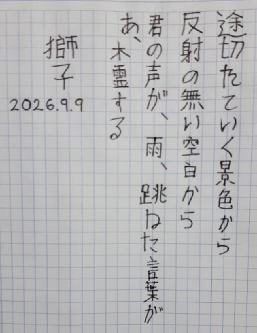 danielodas's submission