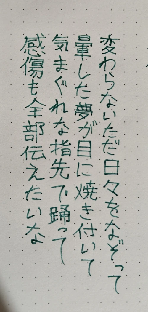 avokat's submission