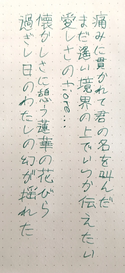 avokat's submission