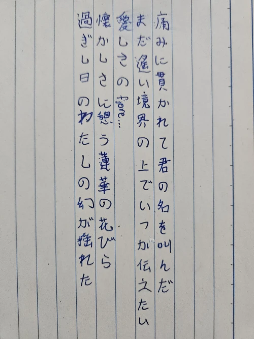 immafattycat's submission