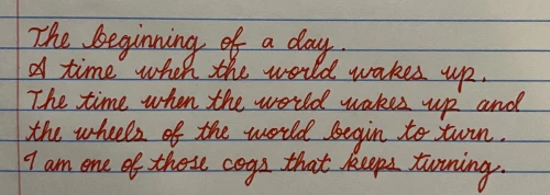deniseinyourarea's submission
