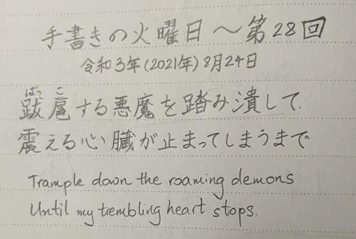 doc1997maimai's submission
