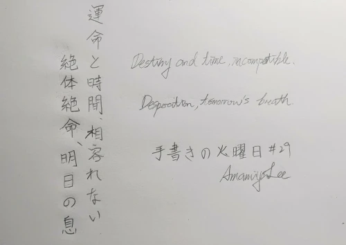 amamiyalee's submission