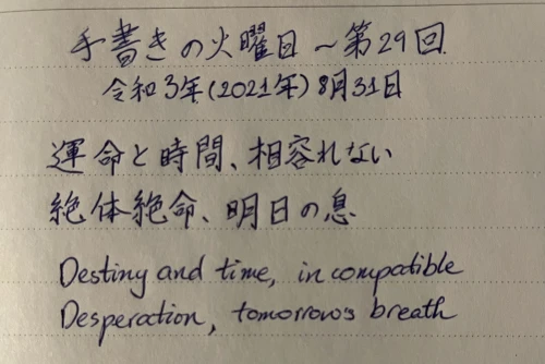 doc1997maimai's submission