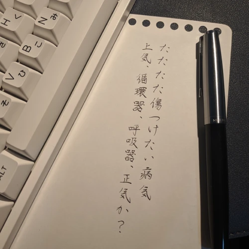wrongwong's submission