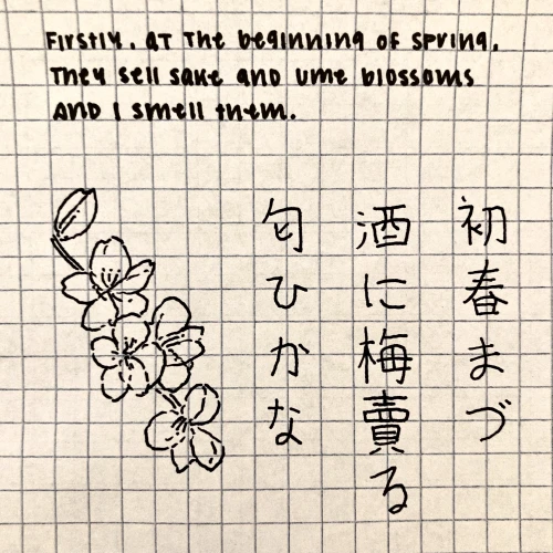 hitsujisoo's submission