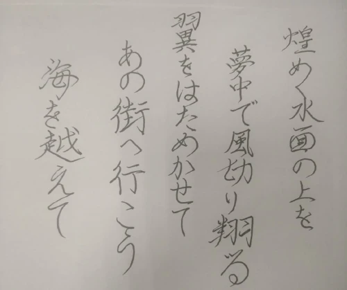 plewgs's submission
