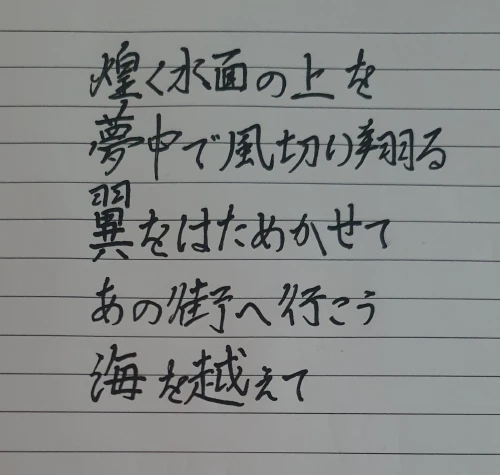 naginoko4's submission