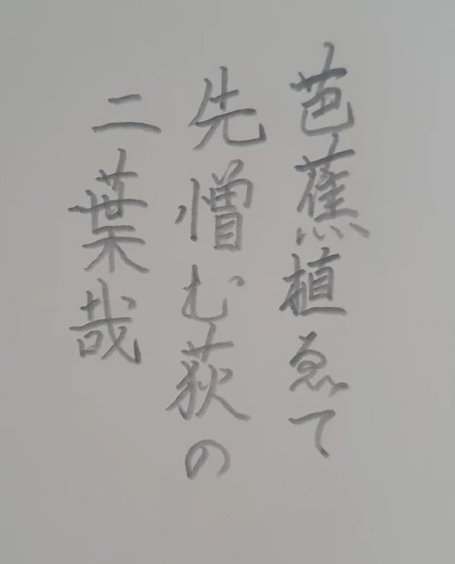 naginoko4's submission