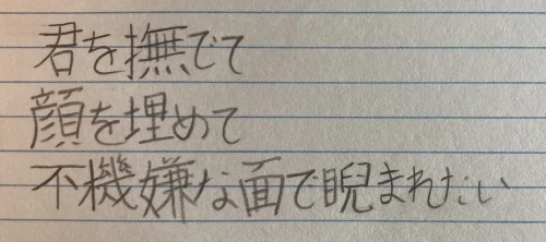 pukekokiwi's submission