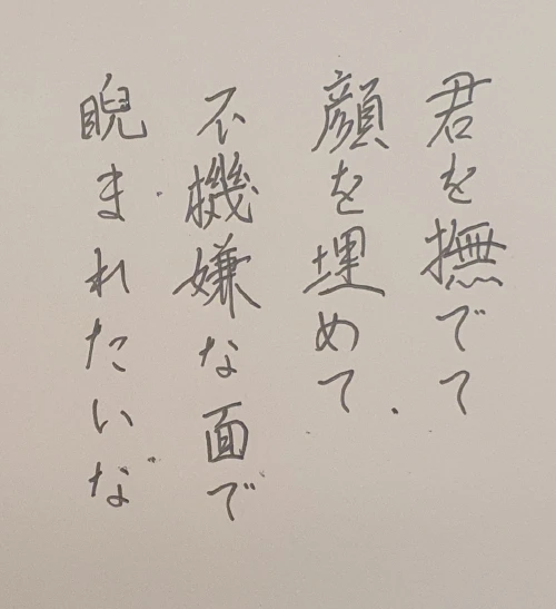 naginoko4's submission
