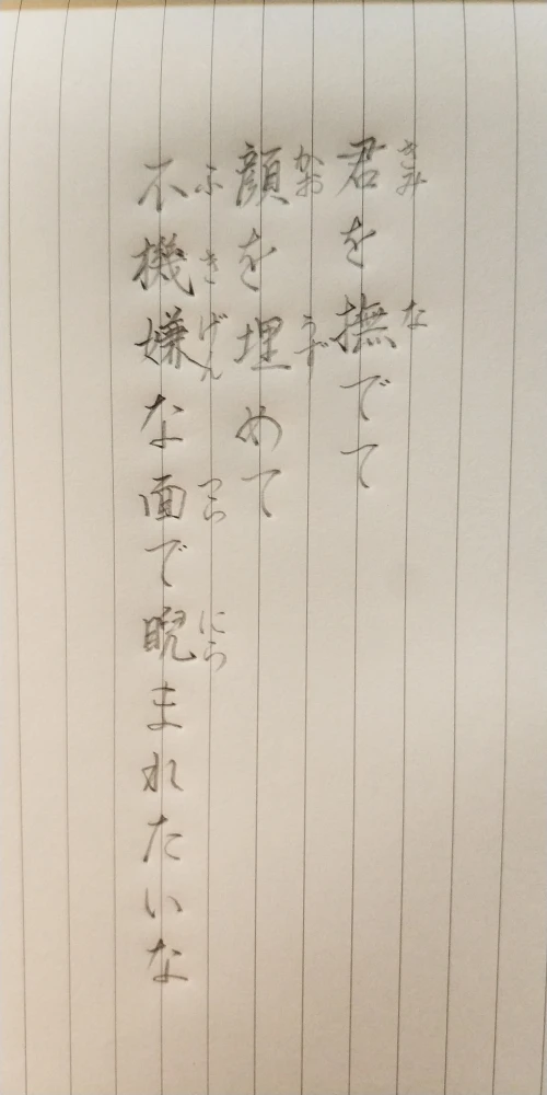 momo.moe's submission