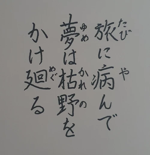 naginoko4's submission