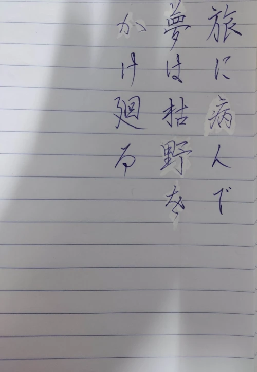 gogogaligansongsup's submission