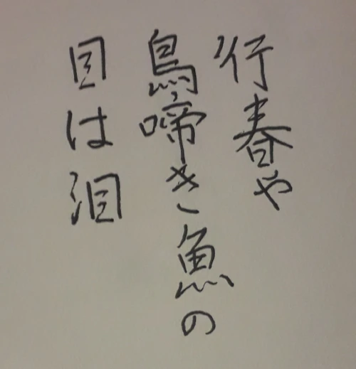 naginoko4's submission