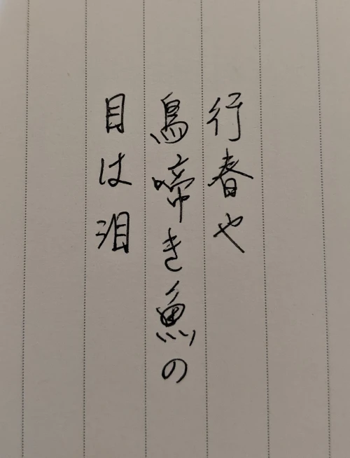neonscone's submission