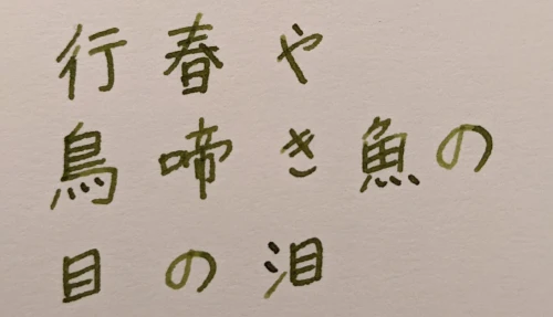 00000.rei's submission