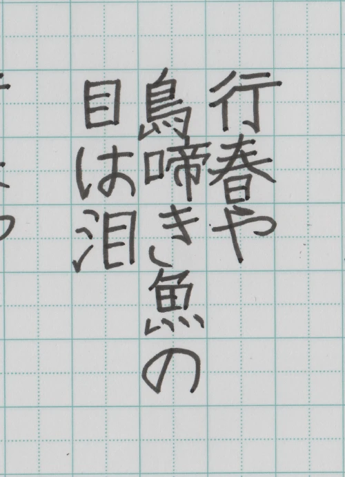 elnudev's submission