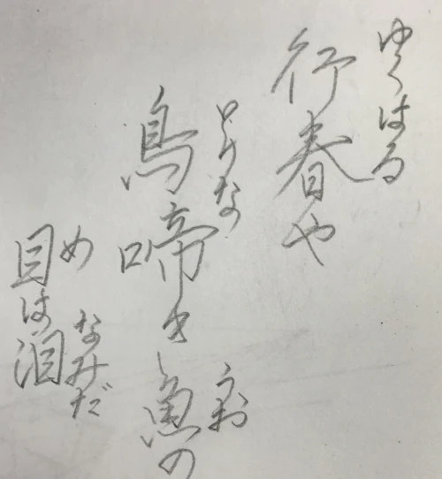 drago33's submission