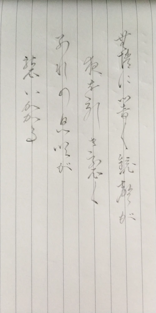 momo.moe's submission