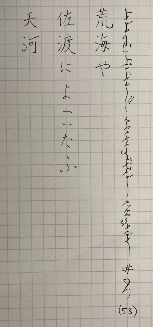 Professional Typeface Designer#4496's submission