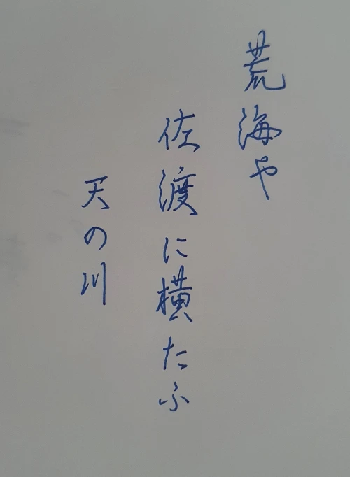 naginoko4's submission